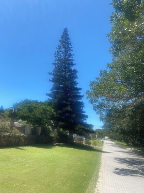 Boendeområde