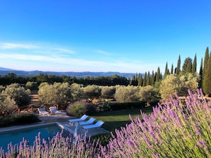 Pool  and view