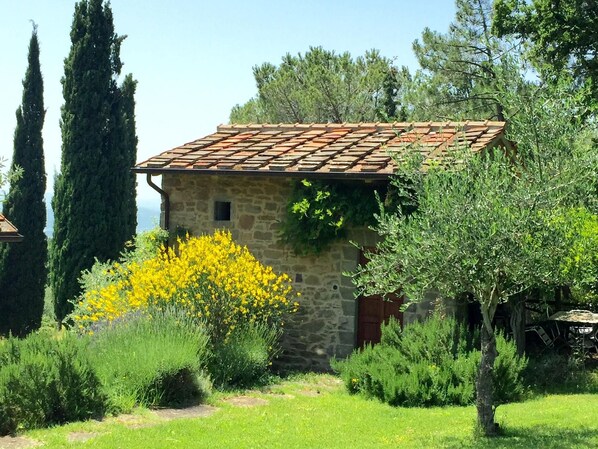 External view of the building. overall view