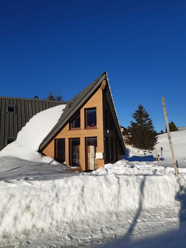 Exteriör