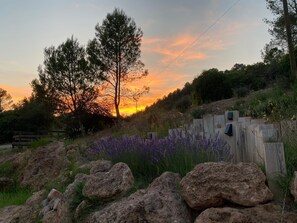 JARDÍN