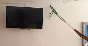 Television
