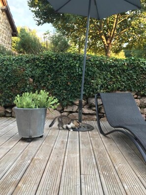Boendeområde
