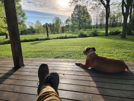 Welcome to our farmhouse. The sunrise, sights and sounds will rejuvenate!