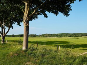 Blick in die Umgebung, Natur pur