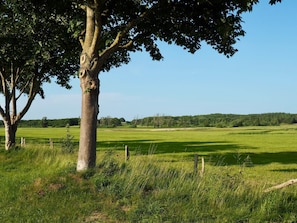 Blick in die Umgebung, Natur pur