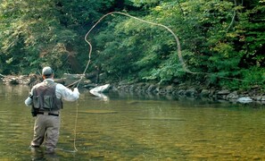 Fly Fishing 