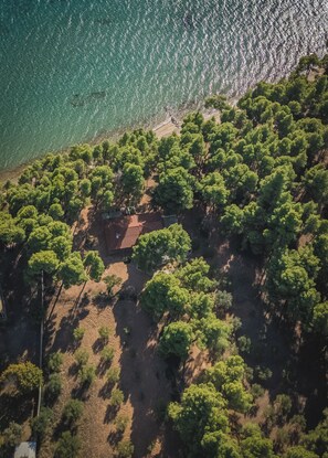 Squirrel BeachFront Villa, Metamorfosi (5)