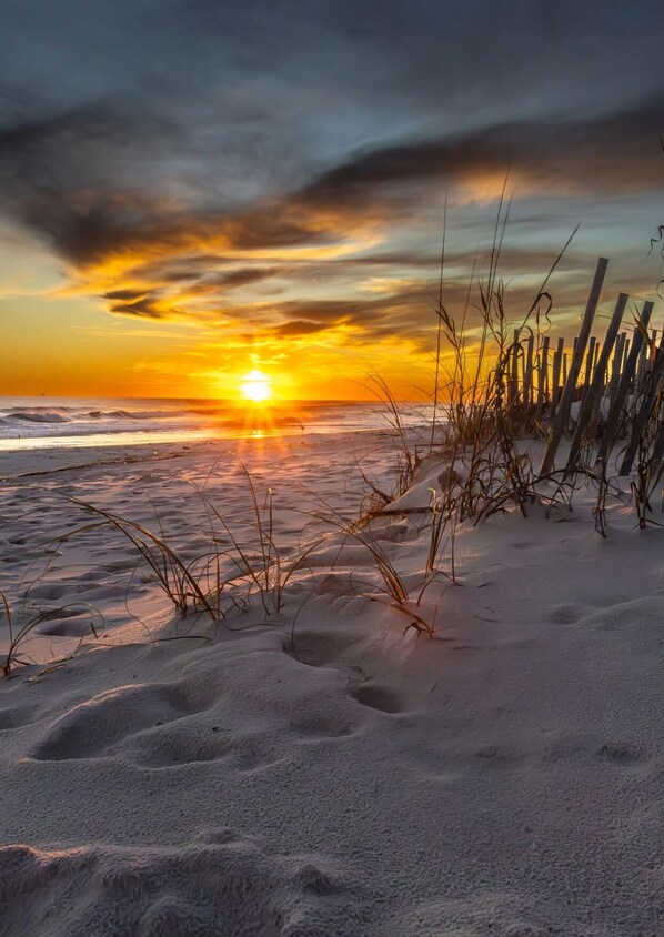 Strand