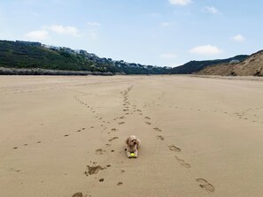 Surrounding area | Greycott, Crantock
