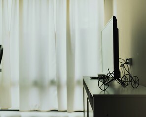 Television