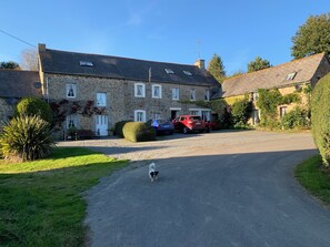 Exteriör