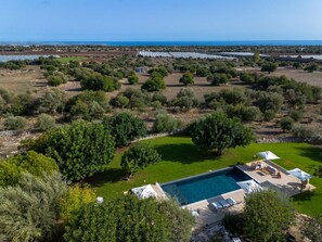Garden, Outdoor, Pool