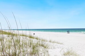 Sugar White Sands