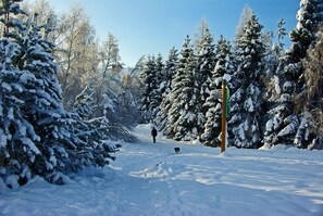 Skidåkning och snöaktiviteter