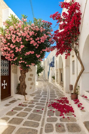 Charming Alleyway – Explore the Beauty of Paros
A typical Cycladic street with blooming bougainvillaea and whitewashed walls.
