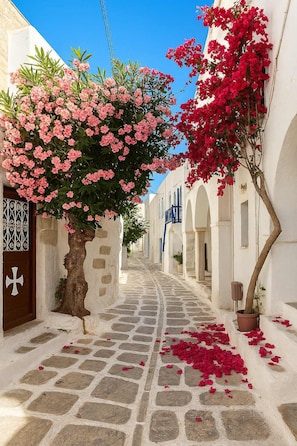 Charming Alleyway – Explore the Beauty of Paros
A typical Cycladic street with blooming bougainvillaea and whitewashed walls.