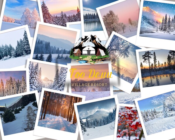 Miscellaneous