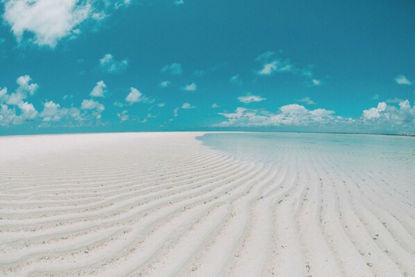 Strand