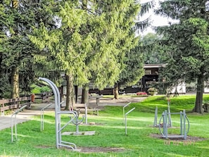 Tree, Public Space, Park, Garden, Shade, Landscaping, Evergreen, Outdoor Play Equipment