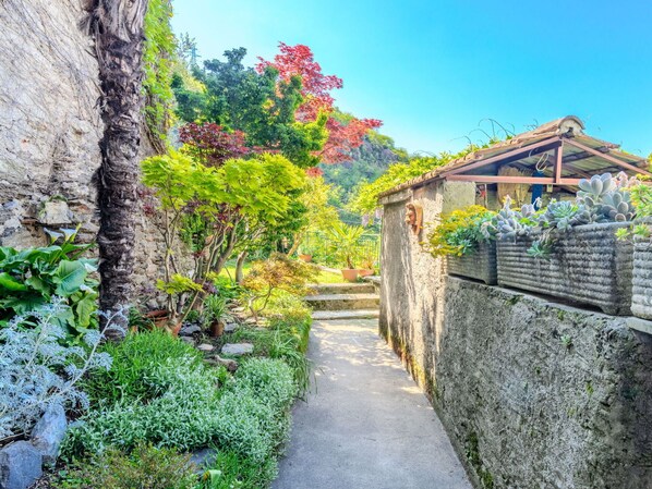 Grün, Wand, Blatt, Vegetation, Strauch, Garten, Ground, Frühling, Steinwand