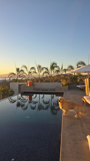 Infinity Lap Pool