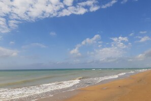 Activities, Autumn, Outdoor, Spring, Summer
