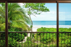 Paradise found