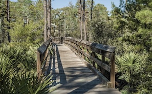 Cypress Dunes walk ways
