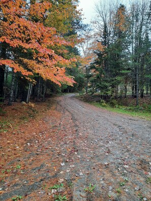 A secluded driveway ensures the retreat like vibe.