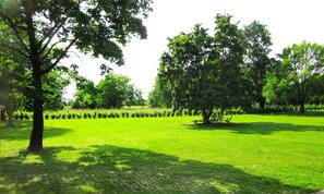 Property grounds