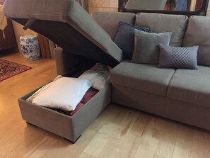 Living room sofa opens up to a Queen  size bed by removing the back pillows.