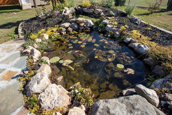 Koi Pond