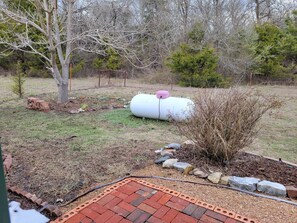 Work in process.  new pictures soon.  Forest is right there - critter alert