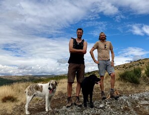 Animaux de compagnie acceptés