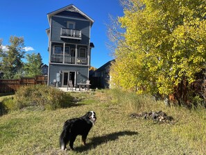 Our dog Moose in the backyard during Fall