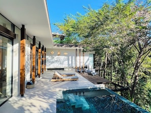 The property private terrace and pool w/ mature trees where monkeys often come