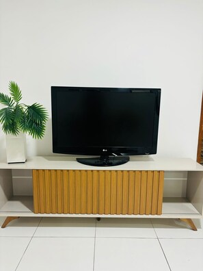 Television