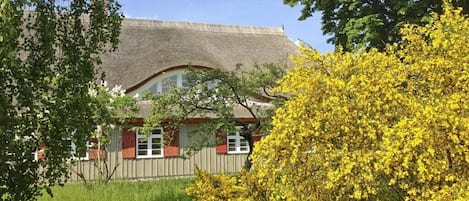 Feriebolig udendørs (sommer)