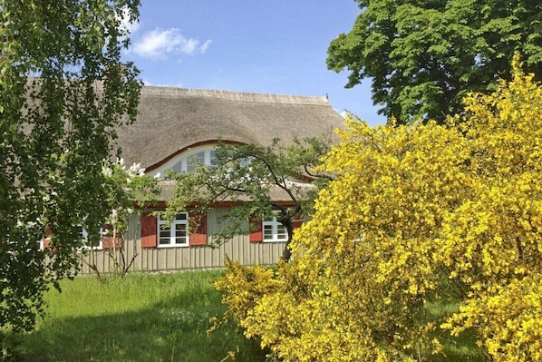 Extérieur maison de vacances [été]