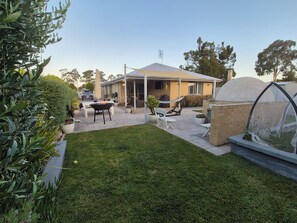 Backyard (1)
