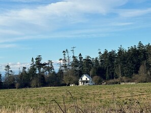 Farmhouse is surrounded by 80 private acres.