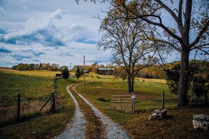 Picturesque driveway with lush landscapes, ideal for nature lovers and serene morning walks.