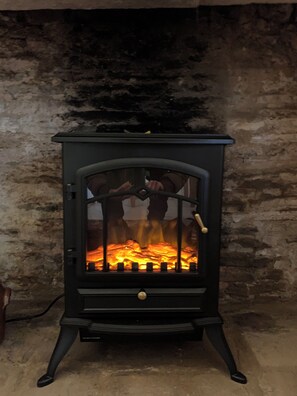 Electric Wood Burner