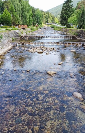 Water, Water Resources, Watercourse, Stream, Rock, Bank, River, Riparian Zone