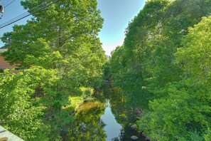 Surrounding Area