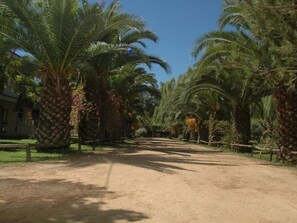 Outdoor
