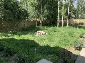 Enceinte de l’hébergement