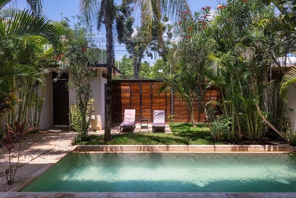 Fantastic pool located in the villa's courtyard. Impressive natural vegetation completes the space. Comfortable loungers for enjoying the area.