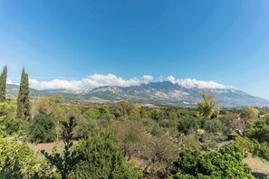 Balcony view – Peaceful mountain scenery

